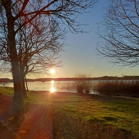 Appartement Les Terrasses Du Lac Aureilhan  المظهر الخارجي الصورة